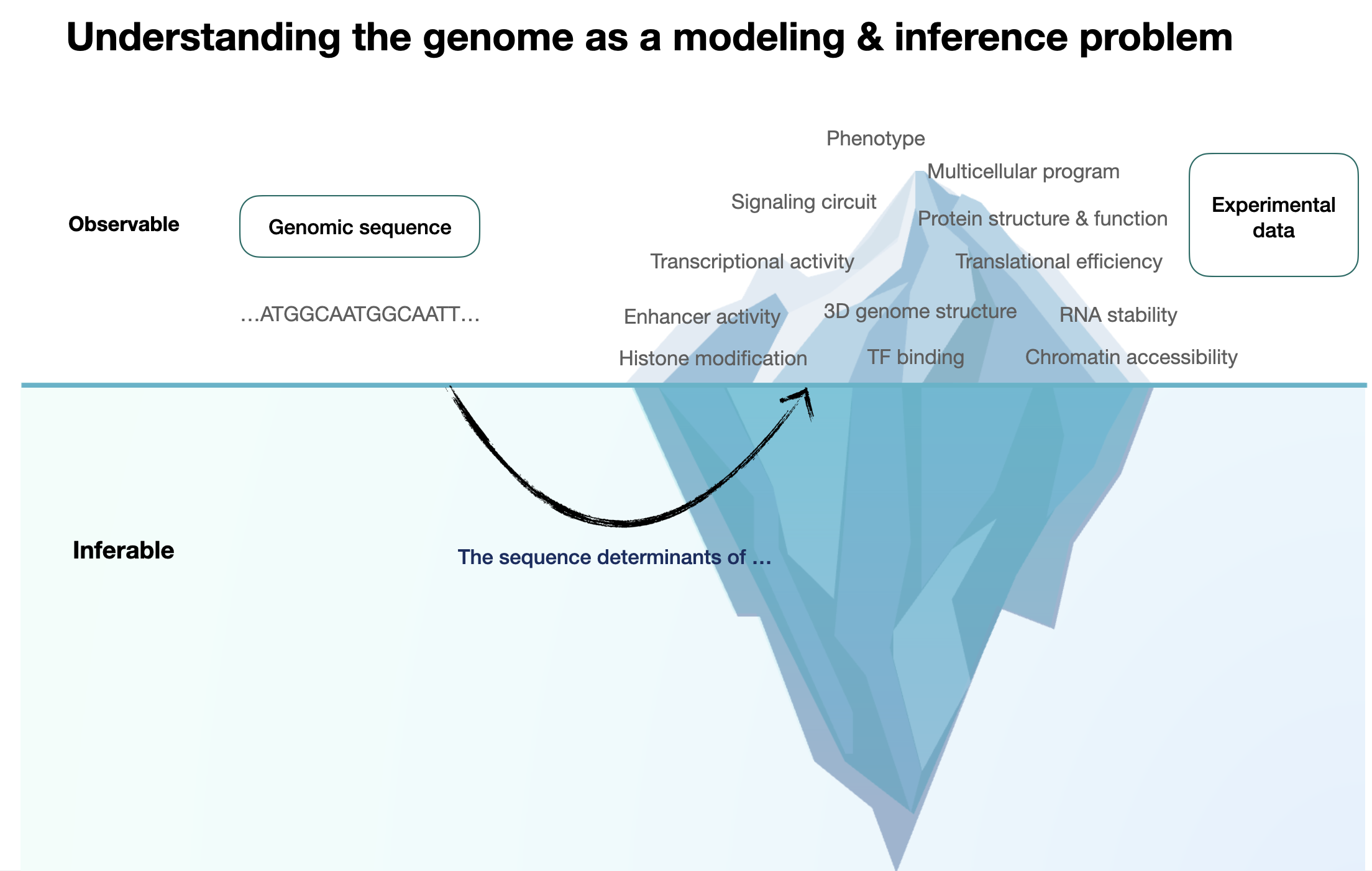 Overview figure illustrating sequence-driven regulatory biology.