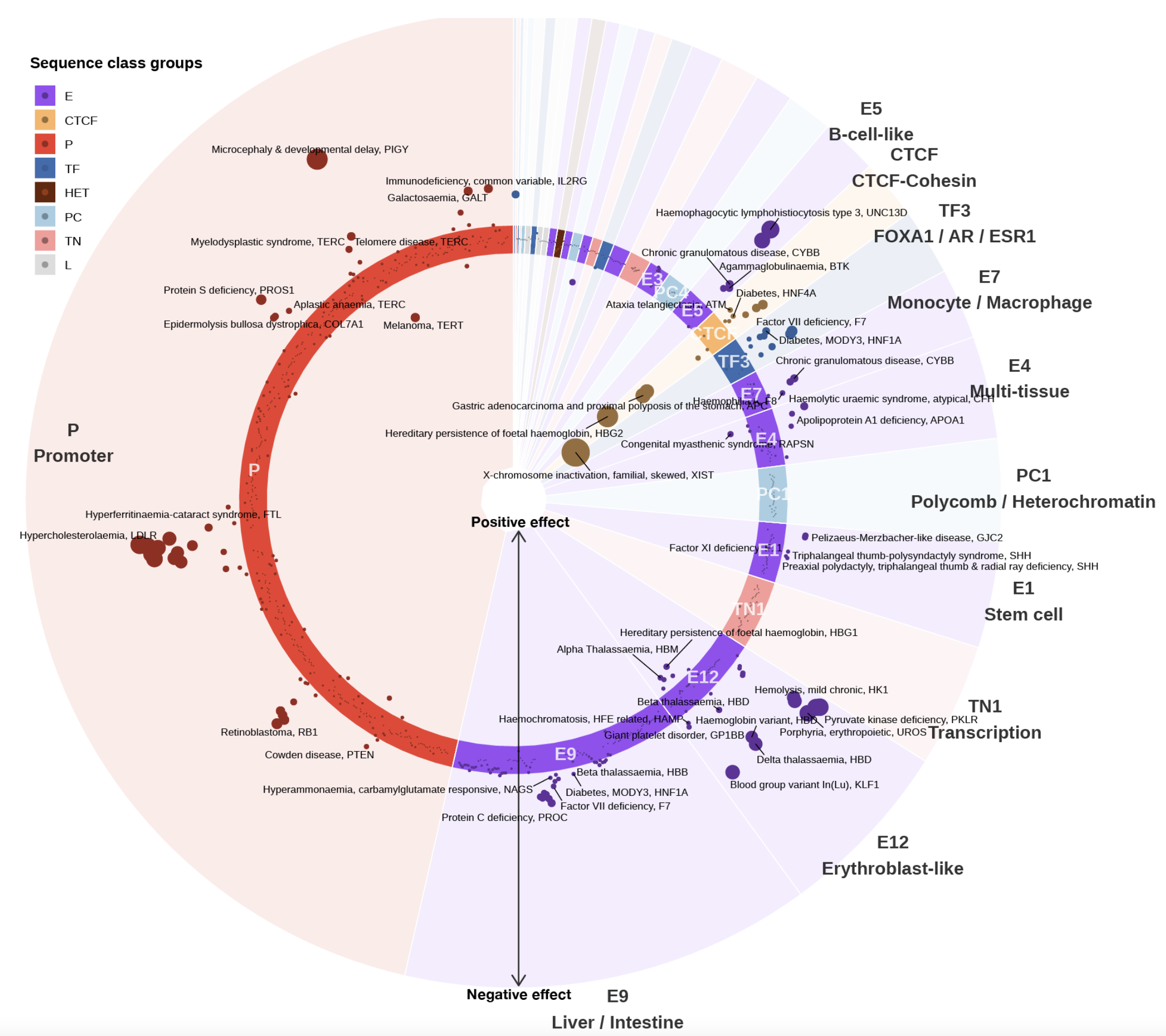 Sei sequence class visualization.