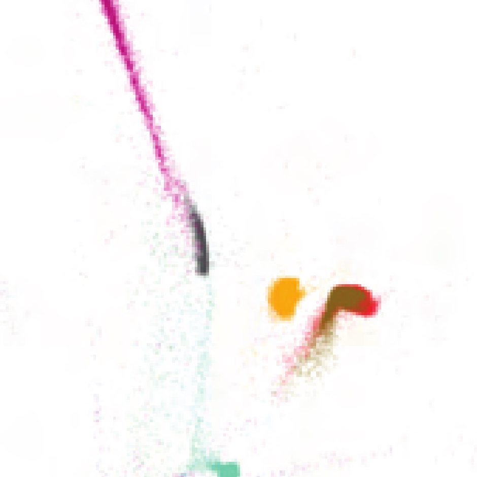 Inverse Flow