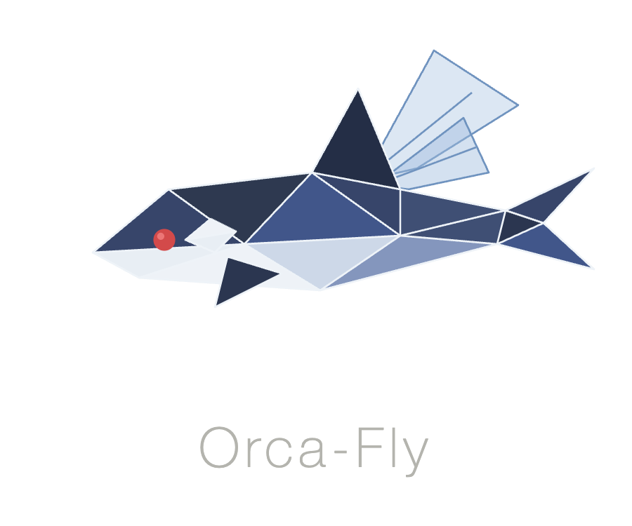 Orca-Fly